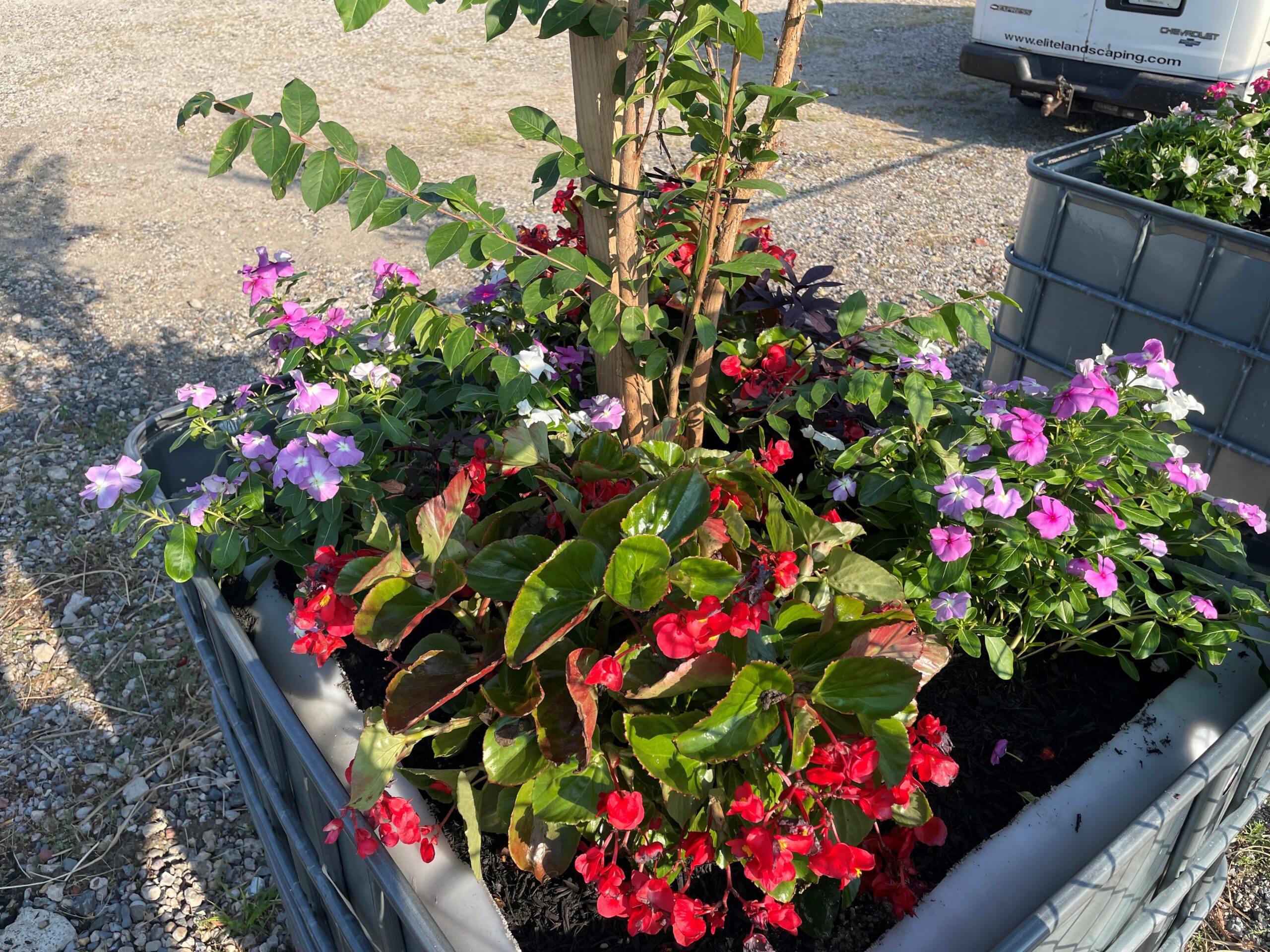 Recycled Tote Tank Planters 15 080422