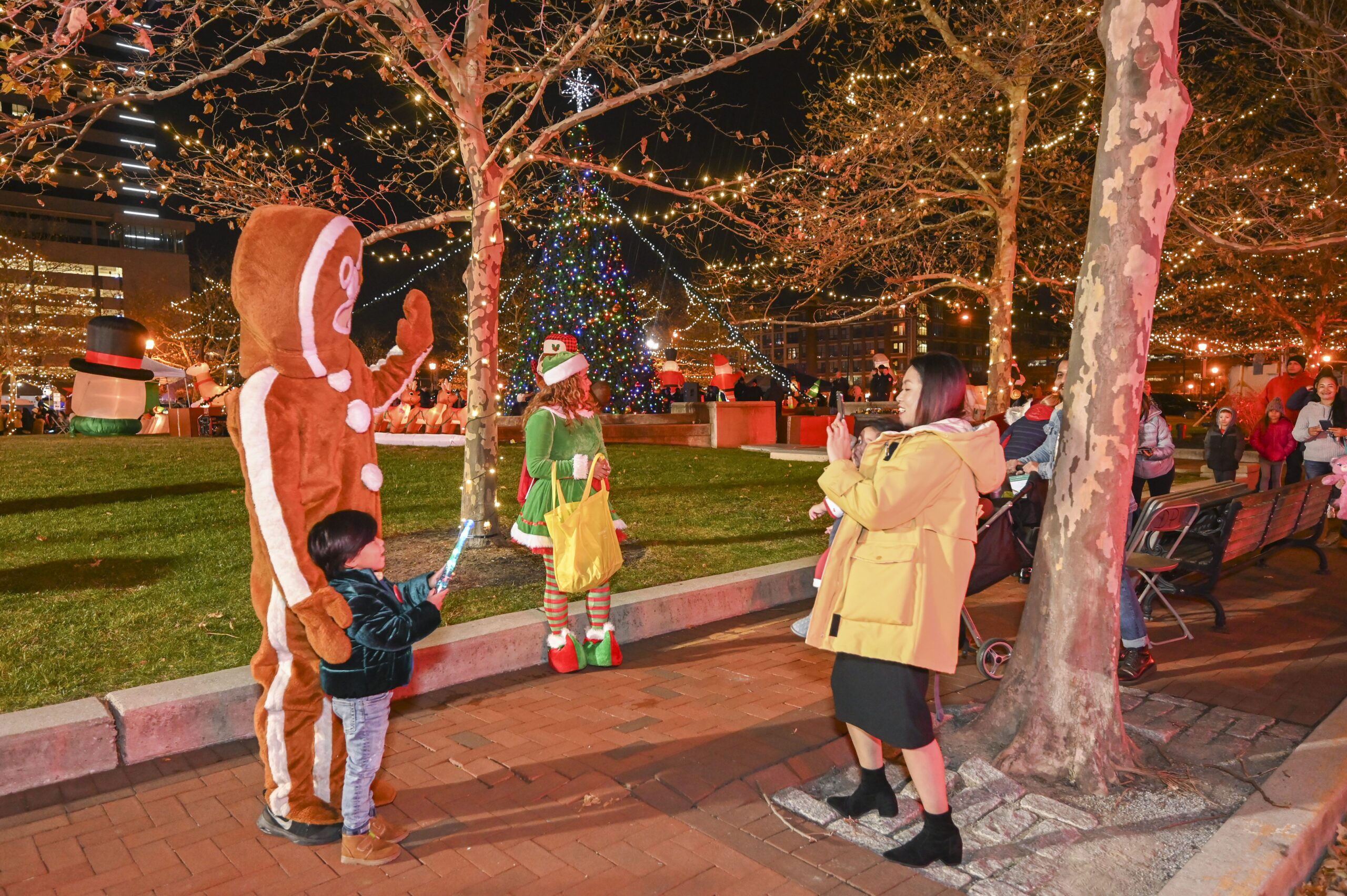 DD70F9EA 1476 4D27 91E9 C018ED52185E