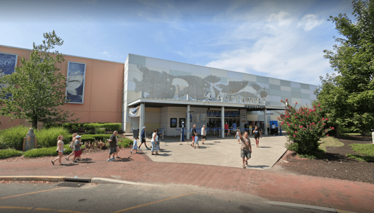 adventure aquarium2 768x438