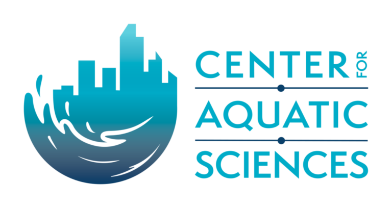 CAS Logo Gradient Horizontal 1024x544 1 768x408