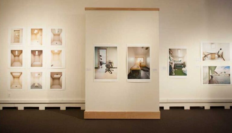 Stedman Gallery 768x440