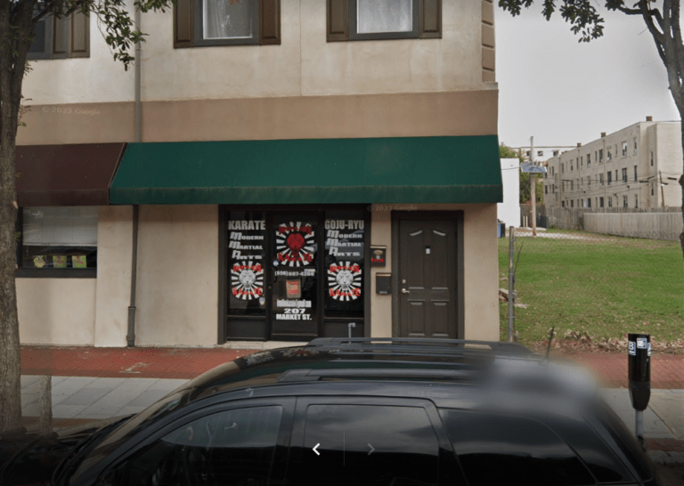 iron lion karate 768x546