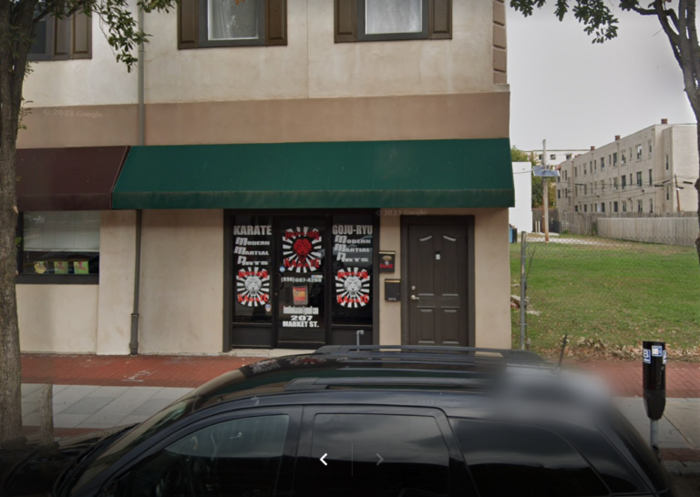 iron lion karate 768x546